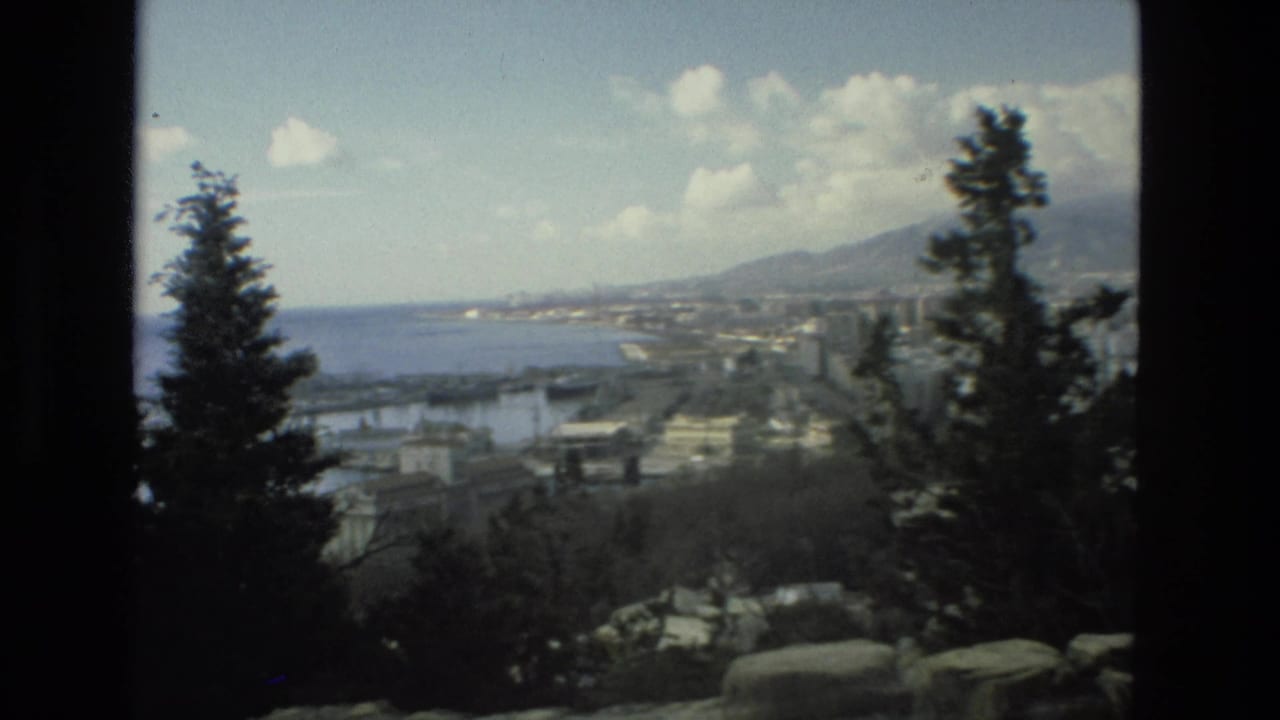 Elevated coastal city and harbor view framed by dark trees, with sea and distant hills beyond.