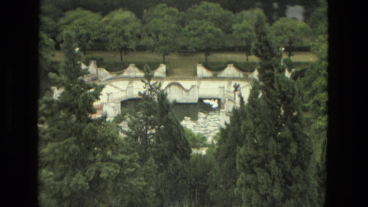 Wider 1978 8mm Granada garden frame with tall evergreen trees, a white bridge, water, and a white bird near the span.