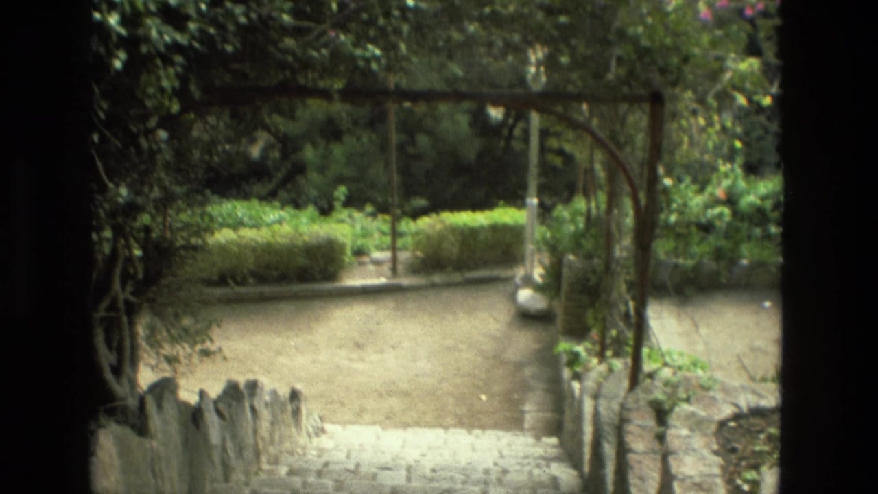 Shaded garden archway above a gravel path and stone steps.