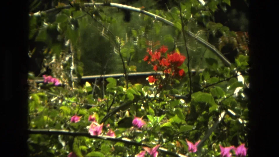 1978 Granada garden frame with red flowers, pink blossoms, hanging greenery, curved supports, and dark film-edge framing.