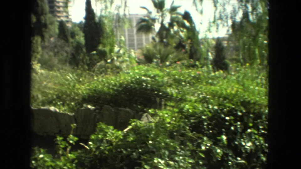 Supported 1978 Granada home-movie view of shrubs, palms or tall trees, low stone edging, and apartment buildings beyond the garden.