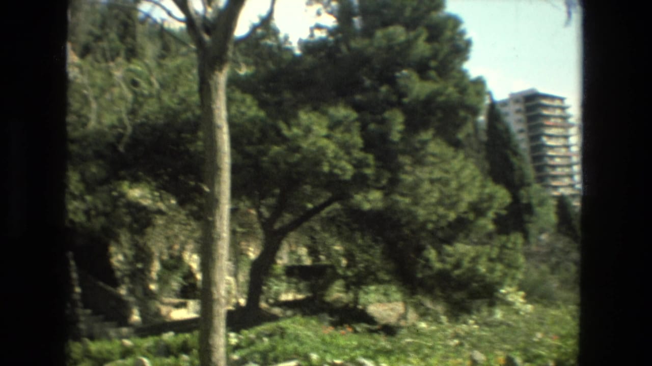 Trees and greenery frame a distant apartment block above old stonework.