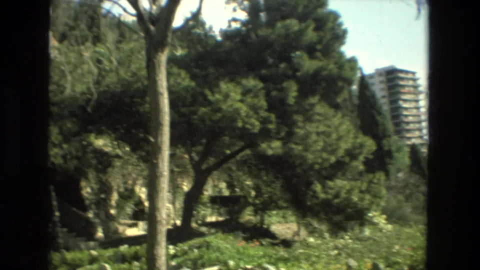 1978 Granada home-movie frame with trees, dense plants, pale sky, and a distant modern building beyond older stone structures.