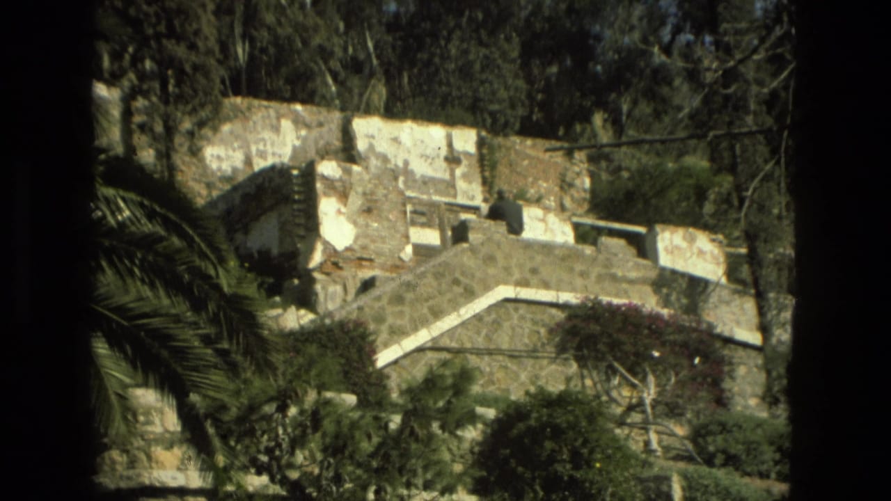 Stone terraces and pale walls partly framed by trees and palm leaves.