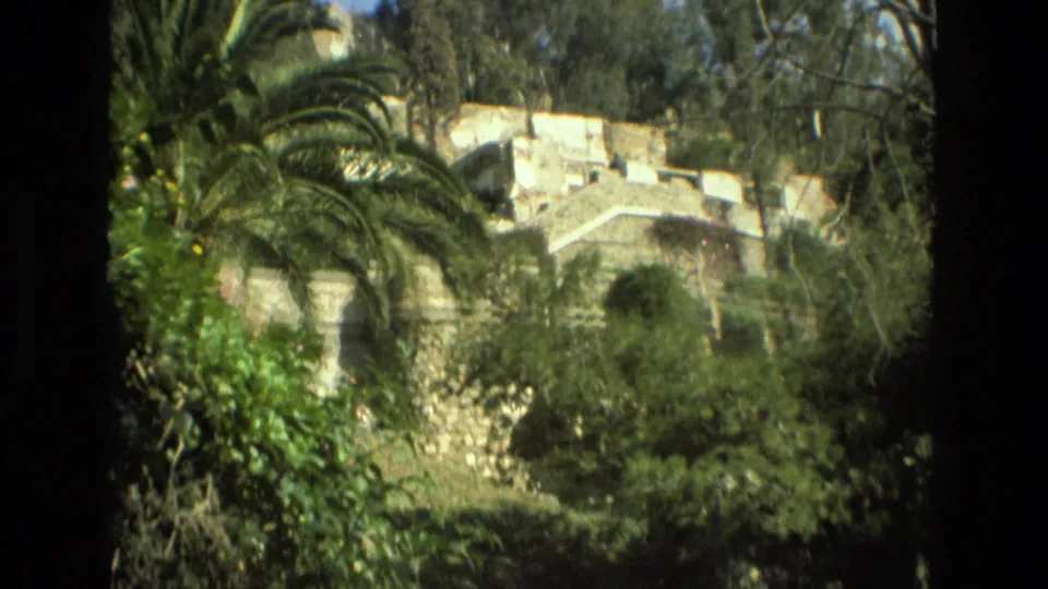 Soft 8mm frame from Granada in 1978 showing palm fronds, lush shrubs, and weathered stone terraces in bright daylight.