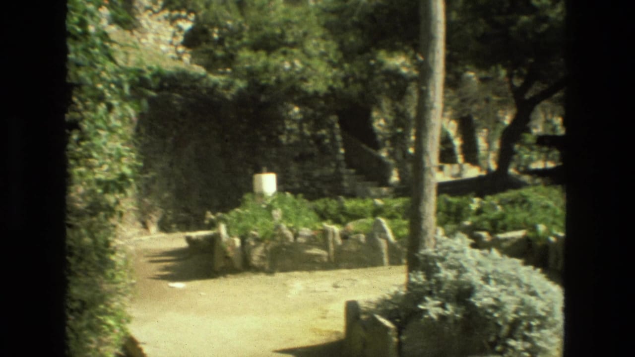 Sunlit path beside stone walls, trees, shrubs, and ruin-like masonry.