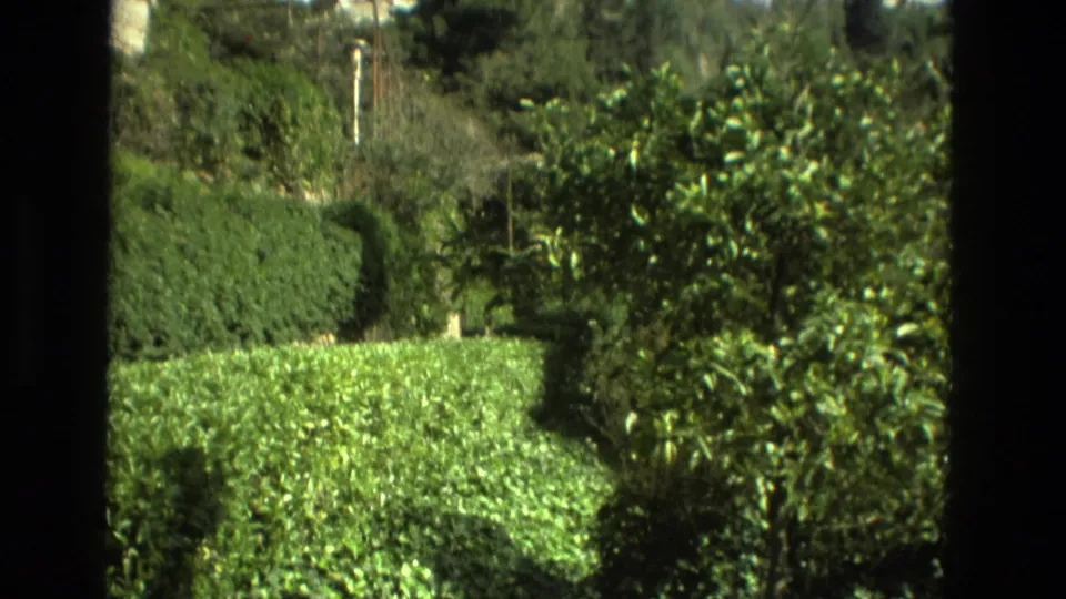 1978 Granada footage frame with sunlit green hedges, dense trees, hillside planting, and a dark window or door-frame strip in the foreground.