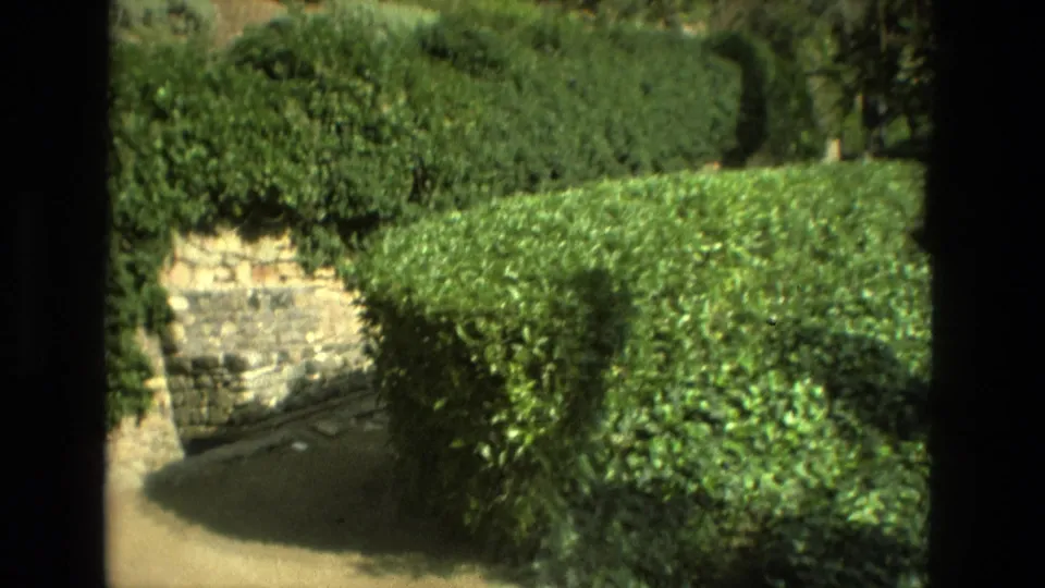 1978 Granada home-movie frame showing clipped hedges, a stone retaining wall, walkway area, and dark foreground silhouettes likely from people or the camera position.