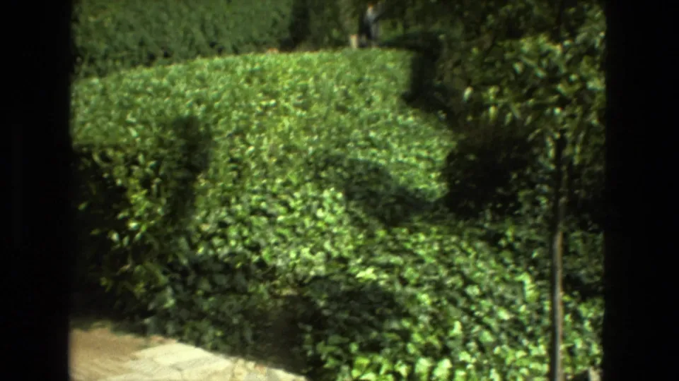 1978 Granada frame of a lush hillside garden with bright hedges, surrounding trees, deep shadows, and dark window-frame divisions in the foreground.