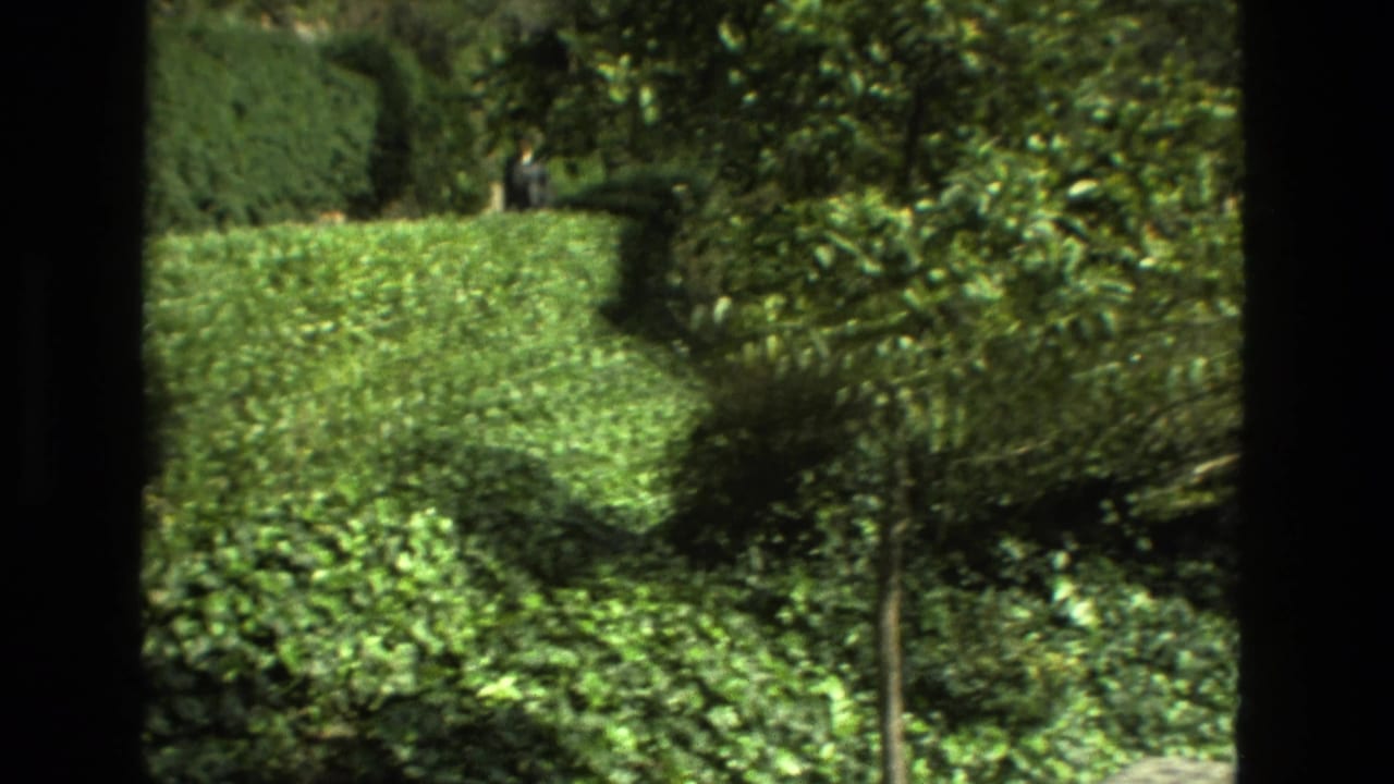 Tree-lined garden path with clipped hedges and dense greenery.
