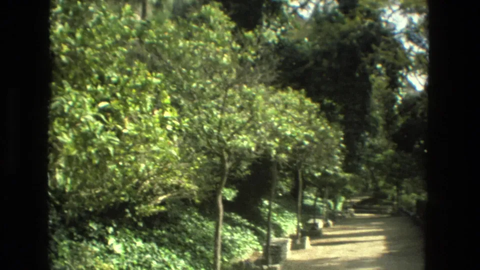 Garden walkway in Granada, Spain, with clipped hedges, slender trees, and small stone posts along the path.
