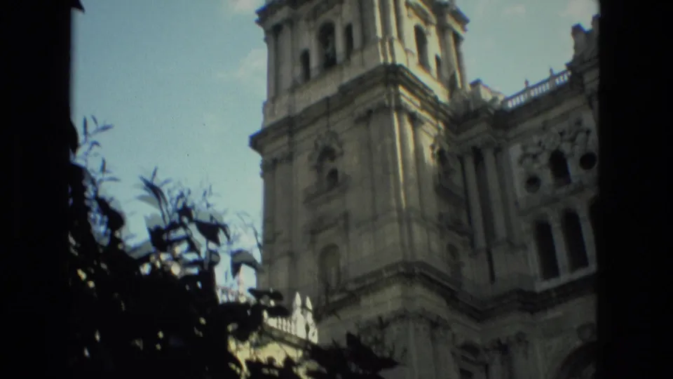 Handheld 8mm view of the Granada church tower and facade, partly obscured by silhouetted branches in the foreground.