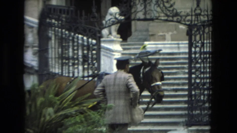 In Granada, Spain, a man in a light suit leads a harnessed horse past ornate gates and stone steps in 1978 home-movie footage.