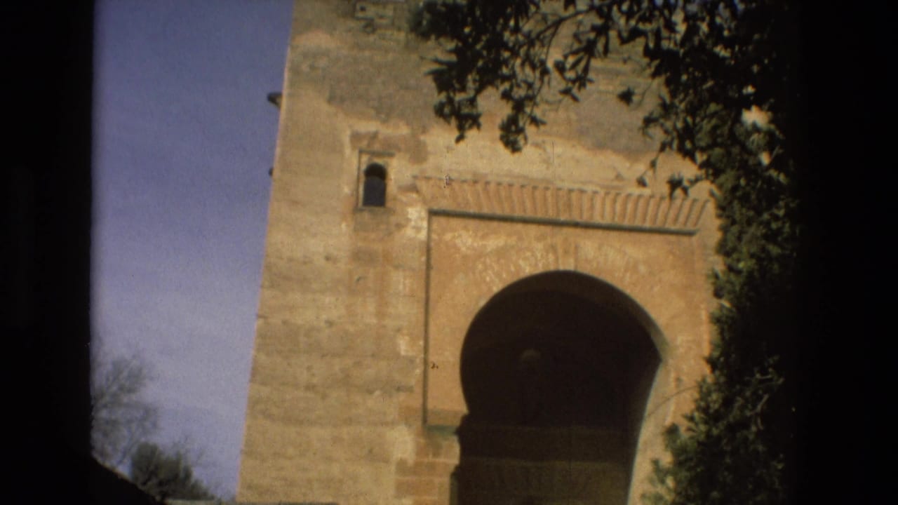 Tall stone wall with a large arched opening and tree branches at the edge of the frame.