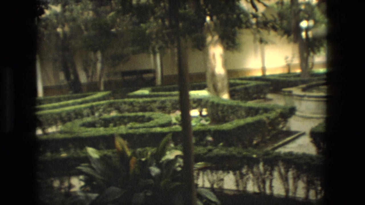 Formal garden with trimmed hedges, trees, paths, and a courtyard wall in soft 8mm color.