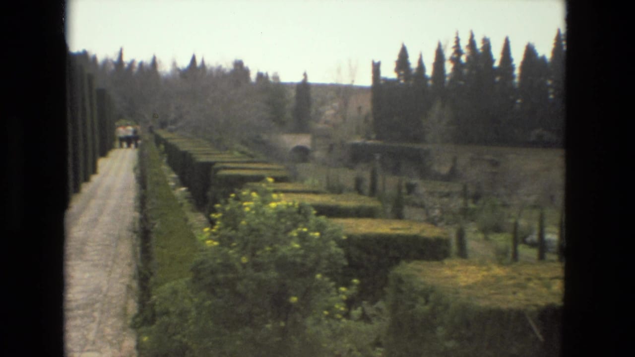 1978 8mm view of the Alcazar gardens in Cordoba with a long walkway, trimmed hedges, yellow flowers, and cypress trees.