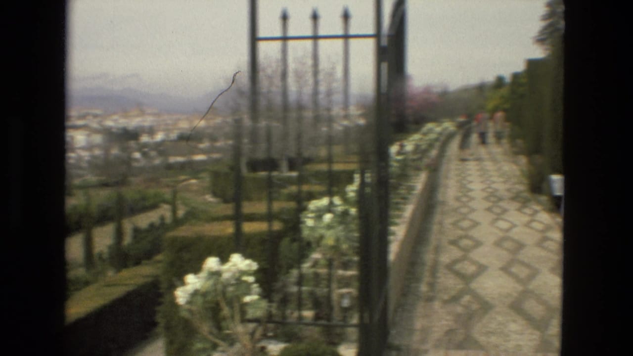 Black iron gate framing a sunny garden path and distant Cordoba landscape.