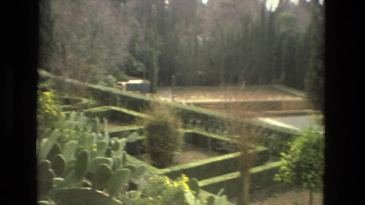 1978 Córdoba home-movie frame showing a garden edge with cactus plants, hedges, trees, and a road beyond the greenery.