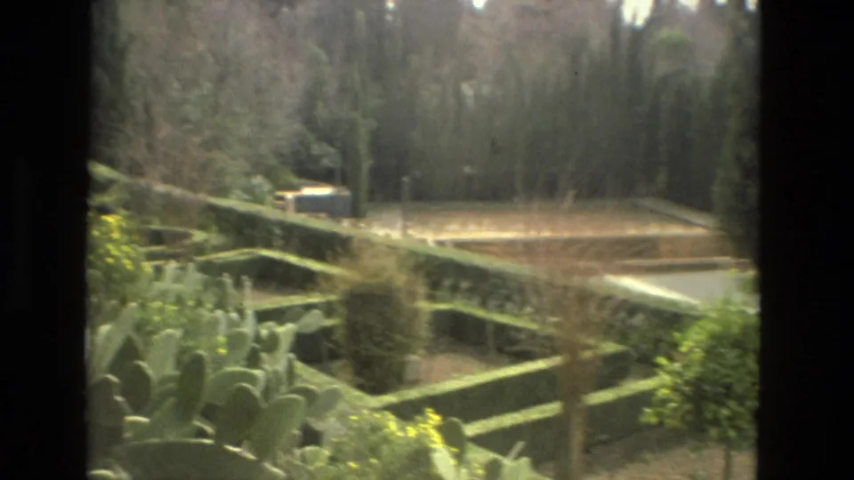 1978 Córdoba home-movie frame showing a garden edge with cactus plants, hedges, trees, and a road beyond the greenery.