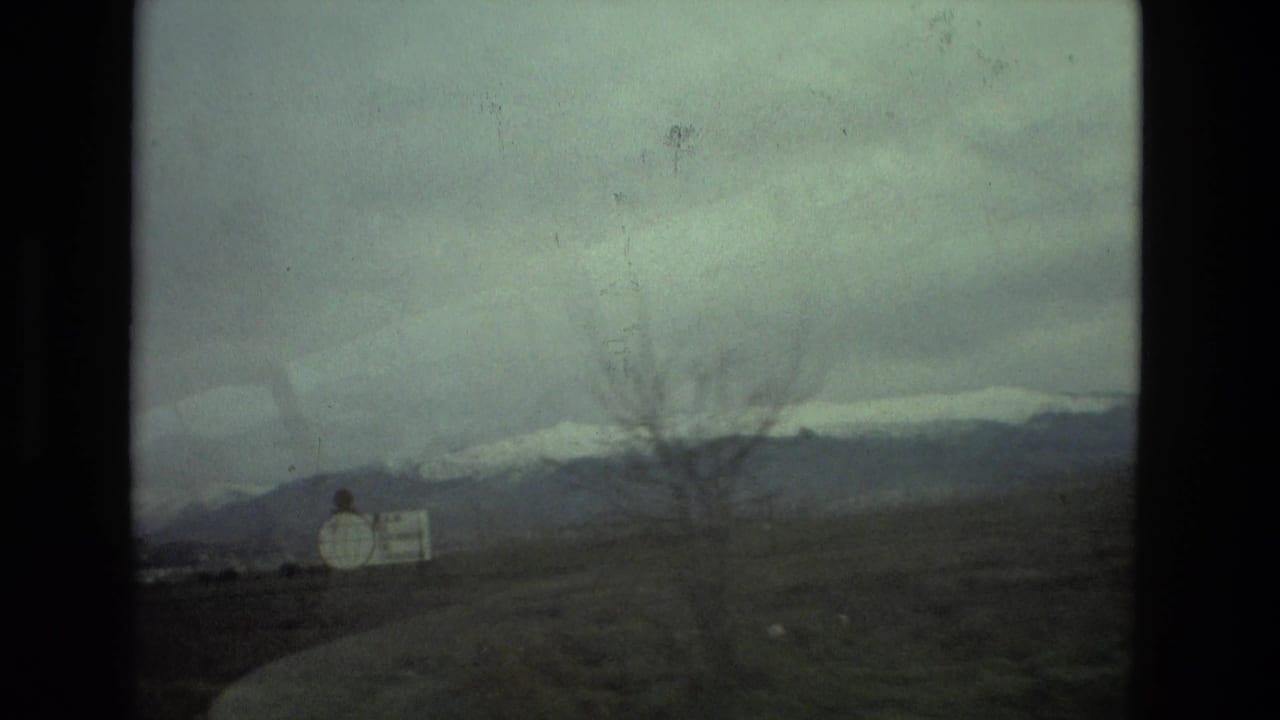 Curving roadside view with a bare tree, small sign, open fields, and snowy mountains beyond.