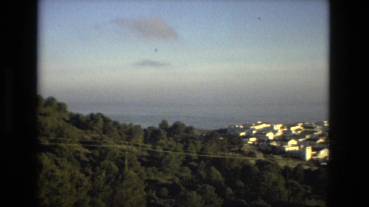 Distant white hillside town above dark trees with a hazy sea horizon.