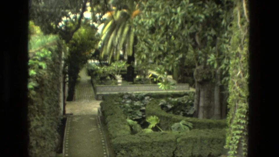 1978 Seville garden view with a narrow stone walkway leading past clipped hedges, palms, ivy-covered walls, and dense foliage.