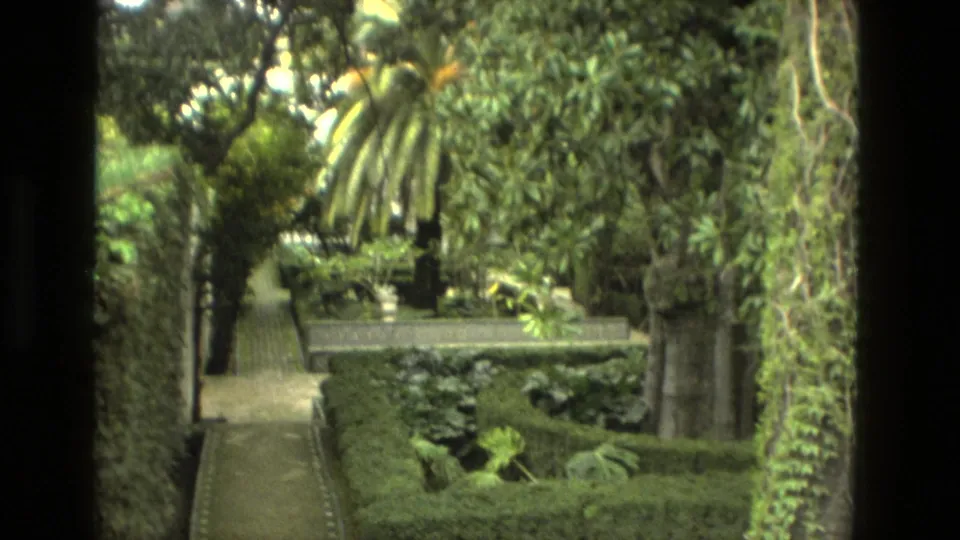 1978 Seville 8mm frame looking down a garden walkway lined with hedges, palm fronds, ivy, and layered ornamental planting.