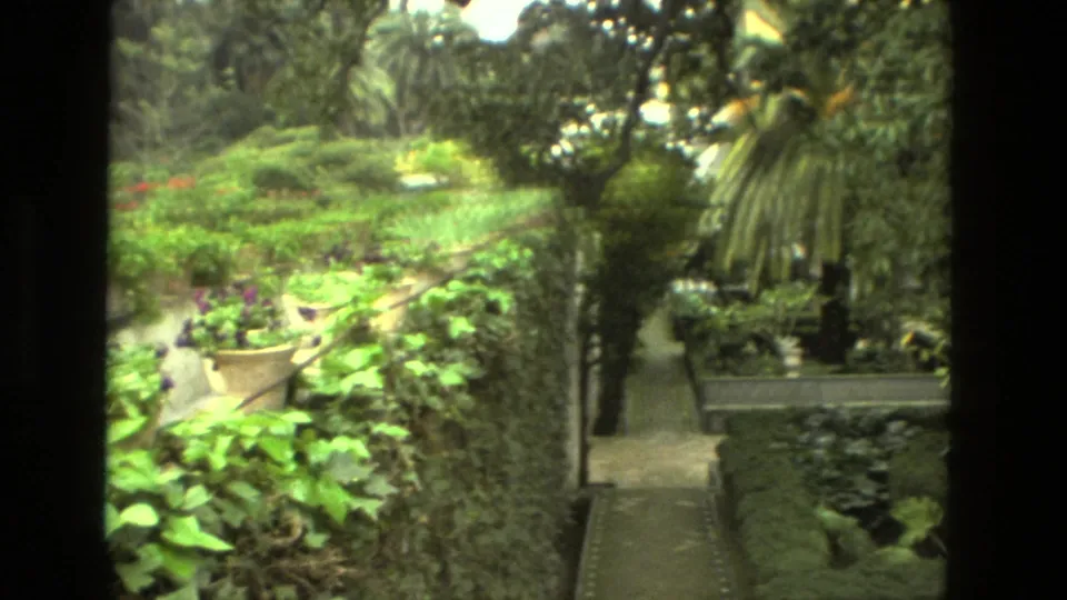 1978 Seville garden frame showing a more open planted area with leafy beds, a path, palms, ivy-covered masonry, and potted flowers.