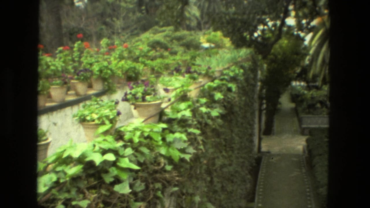 Terraced garden wall with tan pots, red flowers, ivy, and a narrow path.
