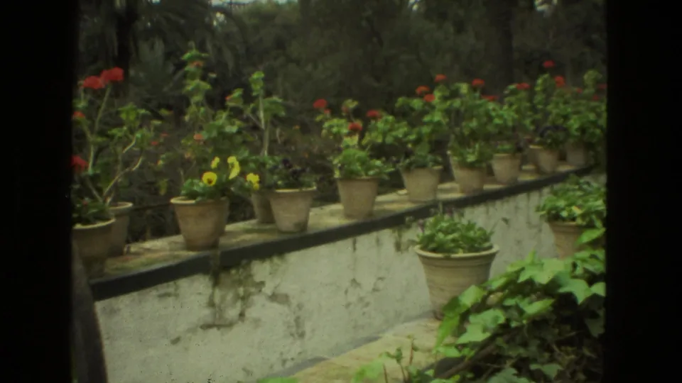 A closer 1978 Seville garden view shows clay-colored pots with red and yellow flowers above trailing greenery.