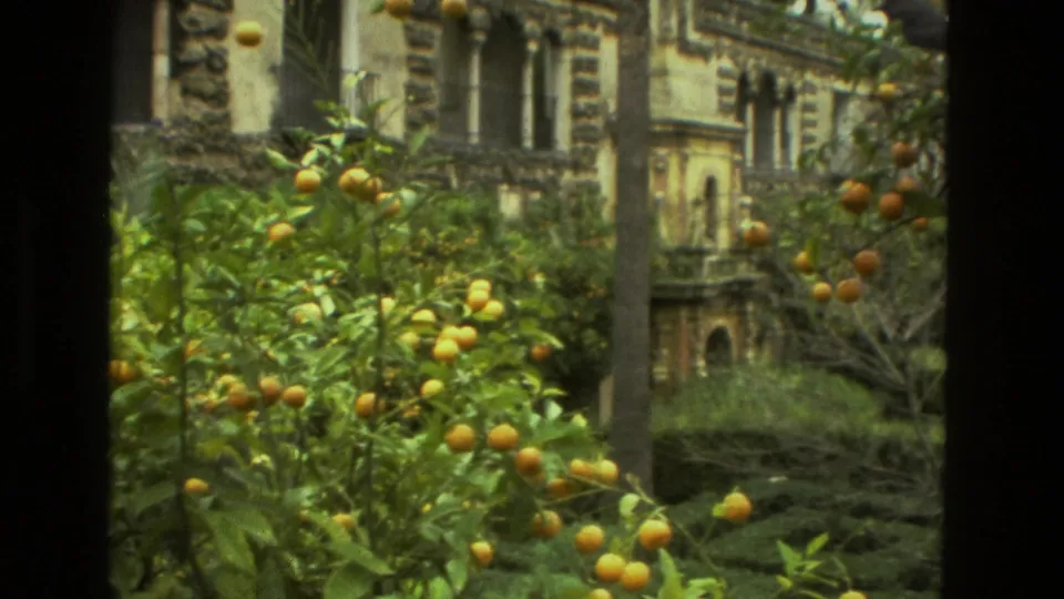 Seville garden view with orange-laden branches, columns, and a historic-looking stone building in soft 8mm color.