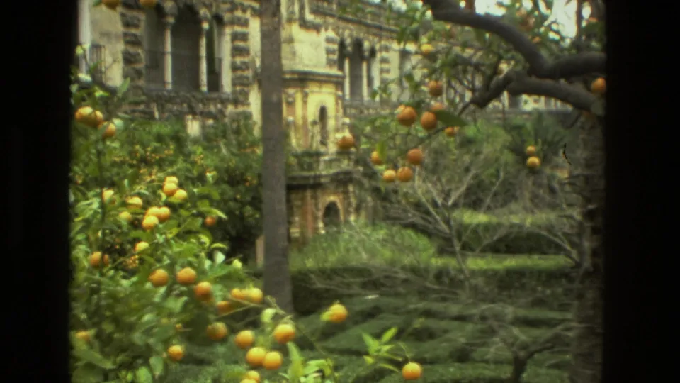 1978 Seville 8mm frame with citrus trees, garden plantings, and a textured historic stone facade beyond.