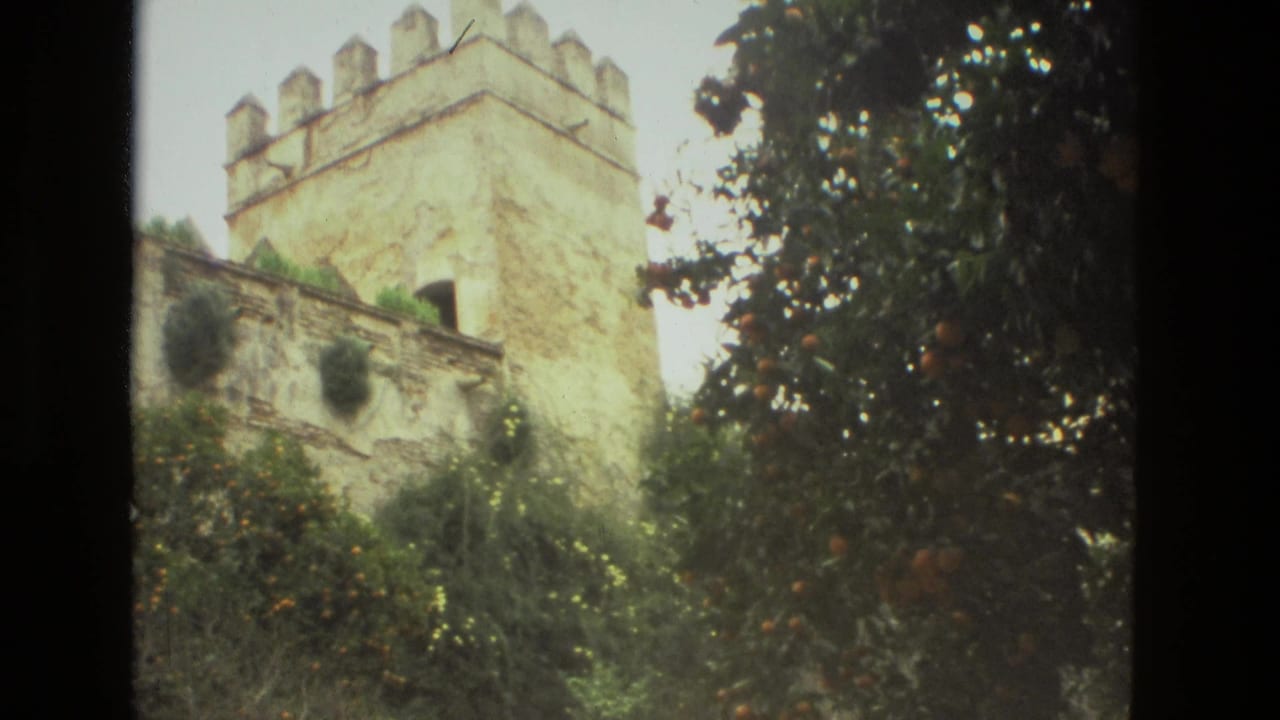 Crenellated stone tower rising behind leafy garden trees.
