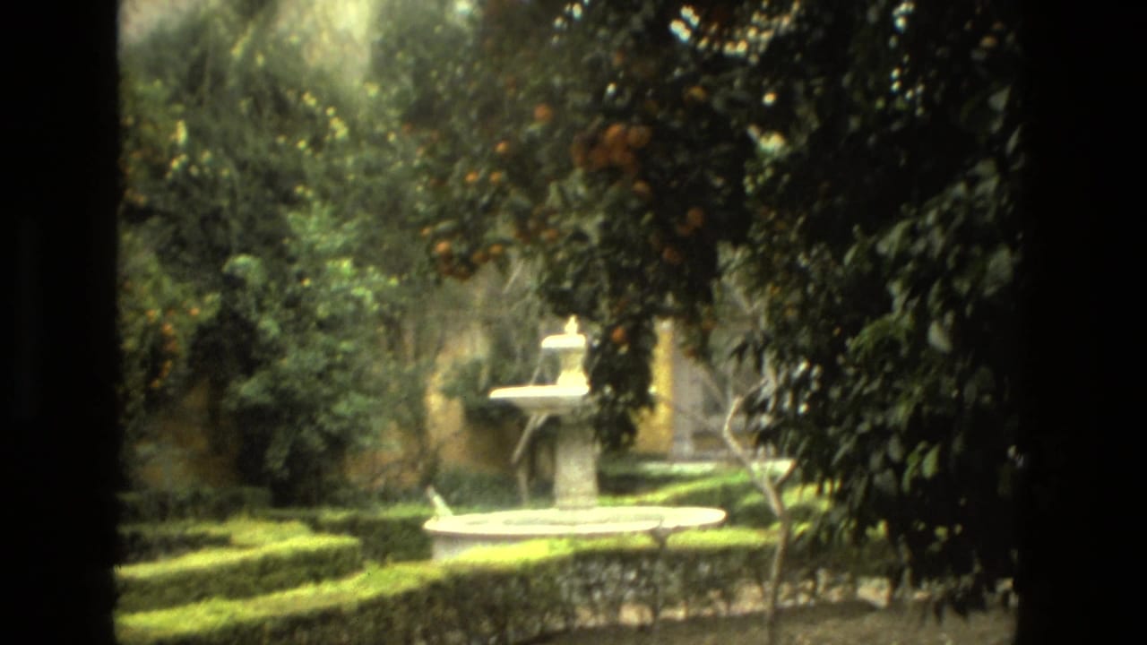 Garden fountain surrounded by hedges and leafy trees.
