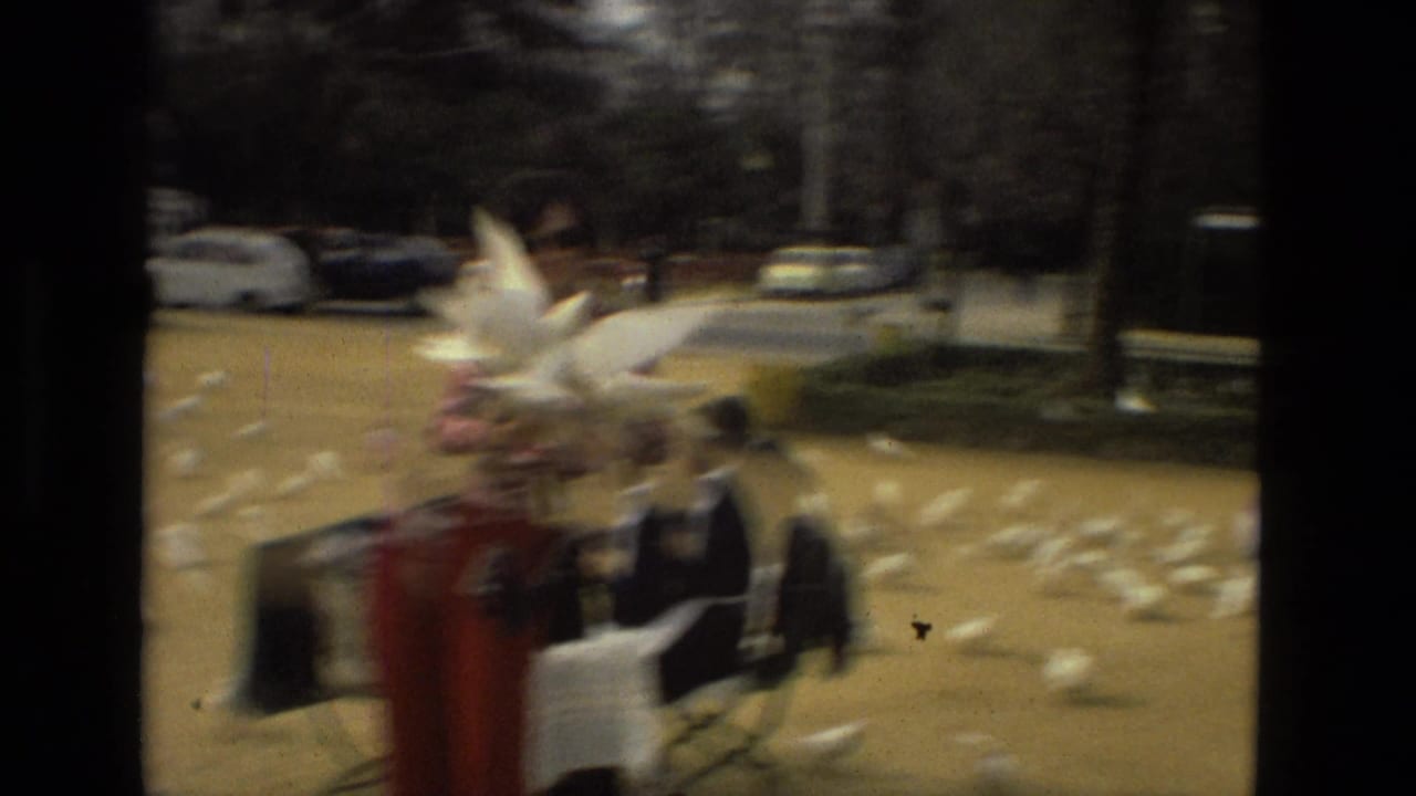 In Madrid 1978 home-movie footage, a blurred adult in red pants stands near scattered white pigeons on sandy ground.