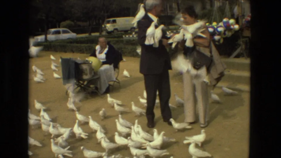 Two adults handle white pigeons in the square while a seated woman and many birds remain visible around them.