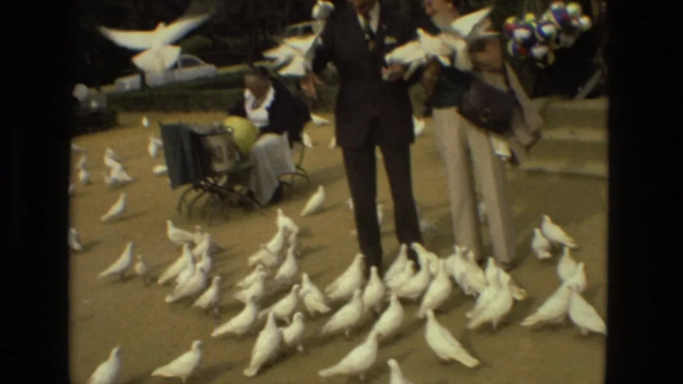 White pigeons cluster at the feet of two standing adults in a Madrid courtyard, with a seated person and small cart visible behind them.