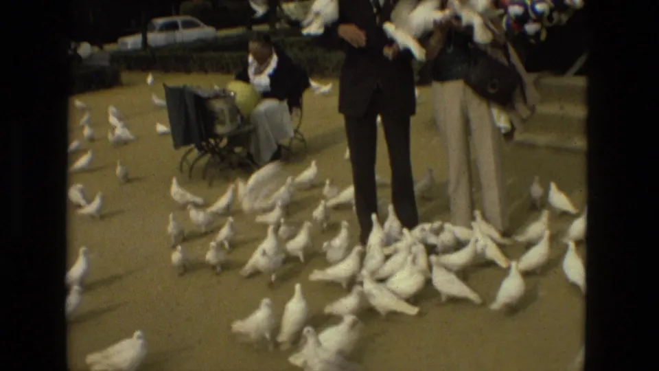 In the 1978 Madrid courtyard scene, a dense group of white pigeons crowds around two adults while a seated woman and cart appear at left.