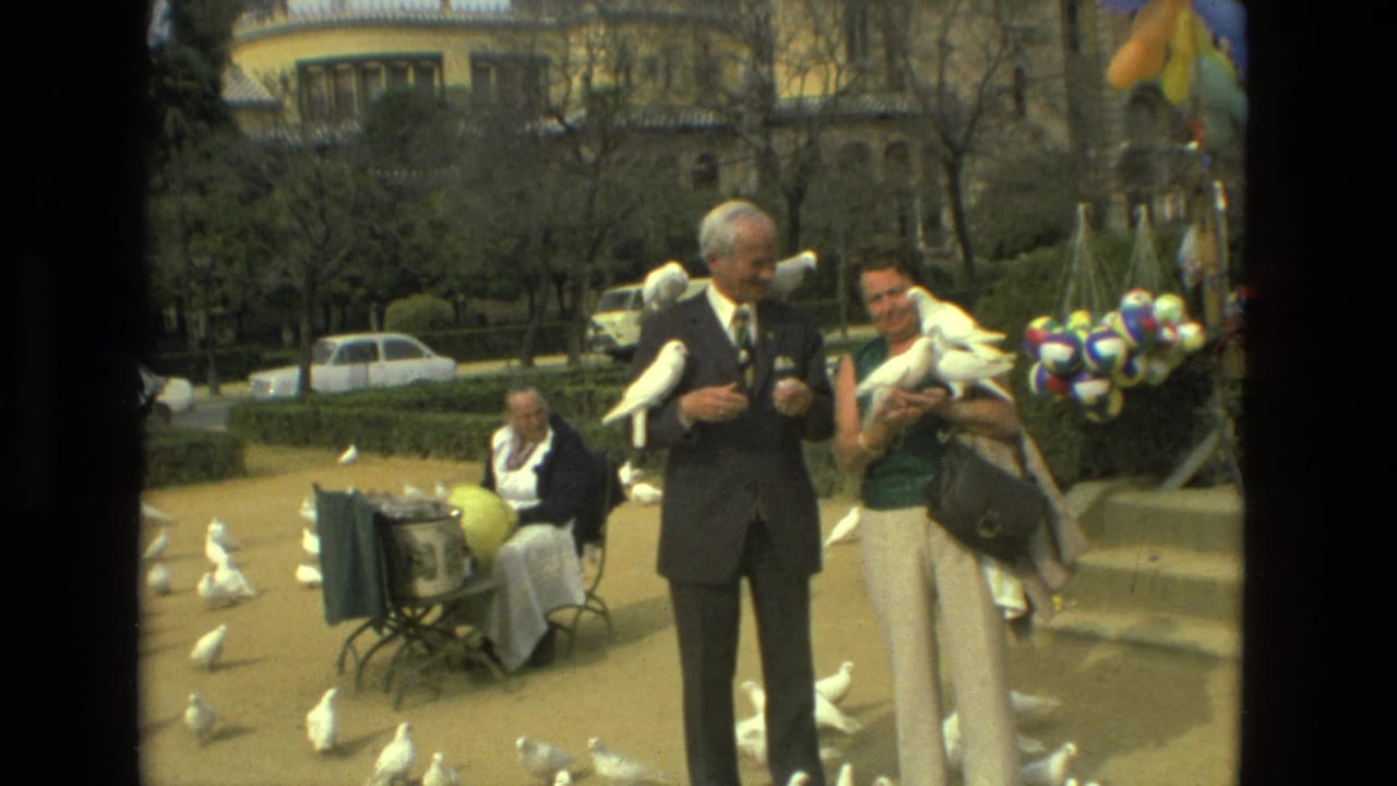 Man in a dark suit and woman in a green top feed white pigeons in a park.
