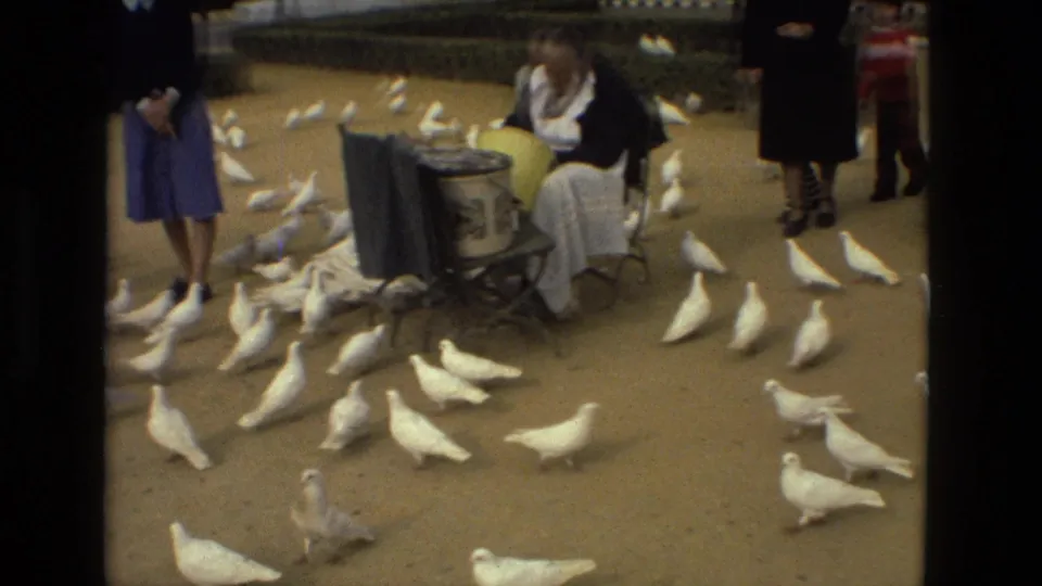 A seated woman sits beside a bucket or cart while white doves gather and passersby stand at the edge of the Madrid square.