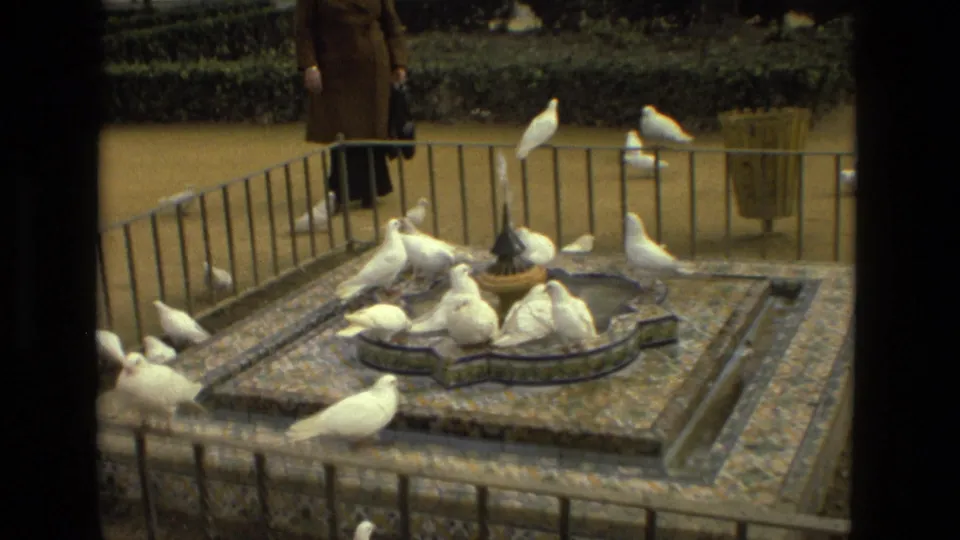 White doves cluster around a low tiled fountain with metal railings in a formal Madrid park setting.