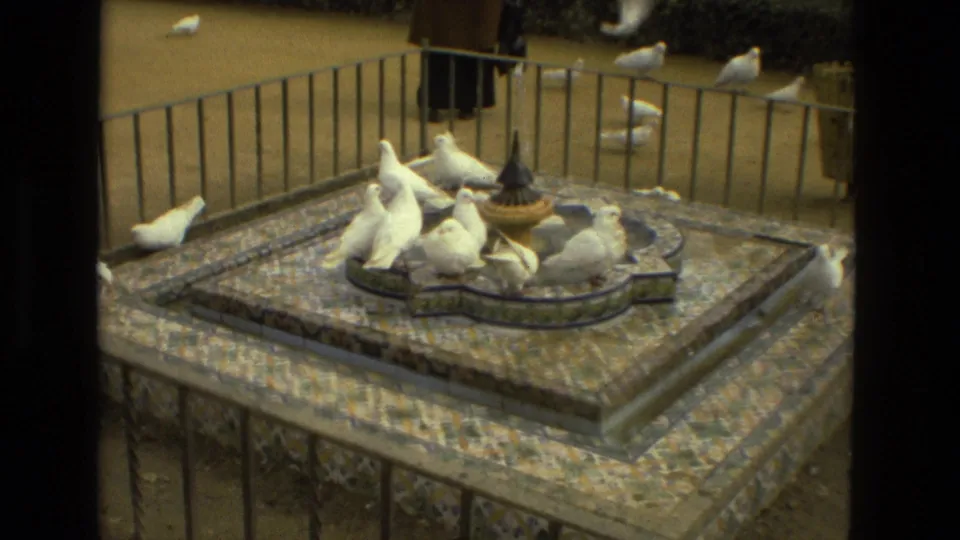 1978 Madrid 8mm frame with white pigeons gathered at an ornate tiled fountain and a distant passerby near the railing.