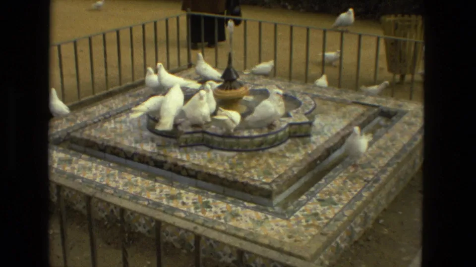 1978 Madrid home-movie frame showing white pigeons around a mosaic fountain, with railing and sandy public space in back.
