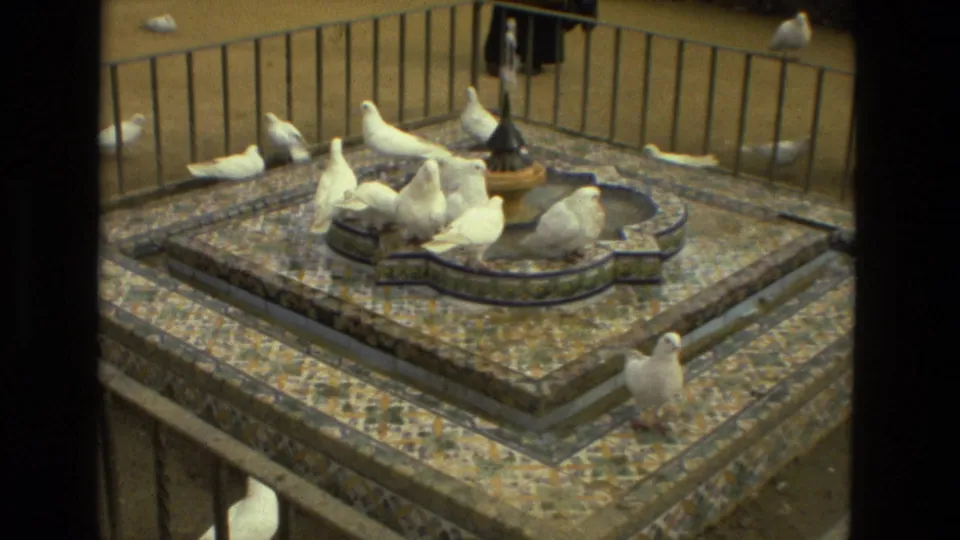 1978 Madrid 8mm frame of white pigeons spread across a decorative tiled fountain in a sunlit outdoor setting.