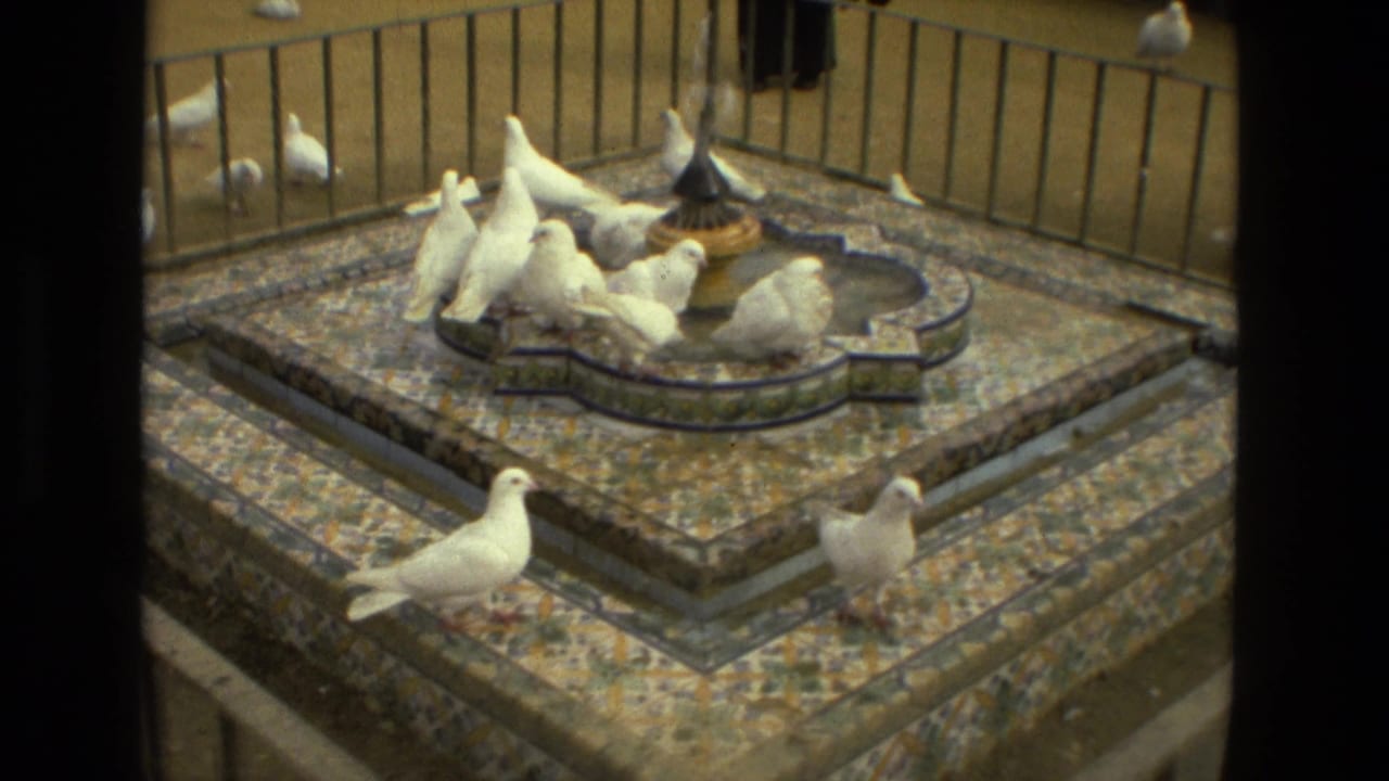 White pigeons gather around a decorative tiled fountain with dark film borders.