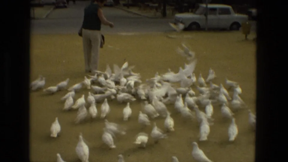 In Madrid, Spain, 1978, a woman stands near a dense flock of white pigeons in a sunlit paved square.