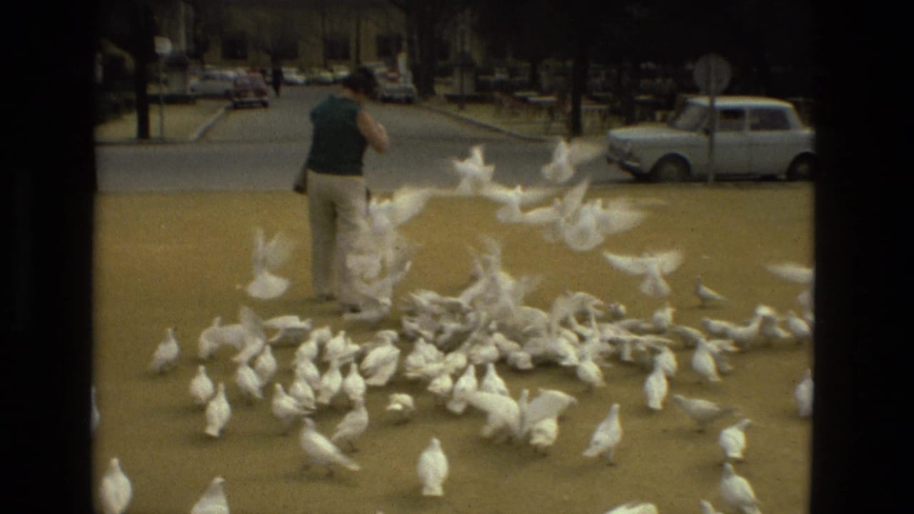 In Madrid, Spain, 1978, white pigeons lift and scatter around a woman standing in a paved urban square.