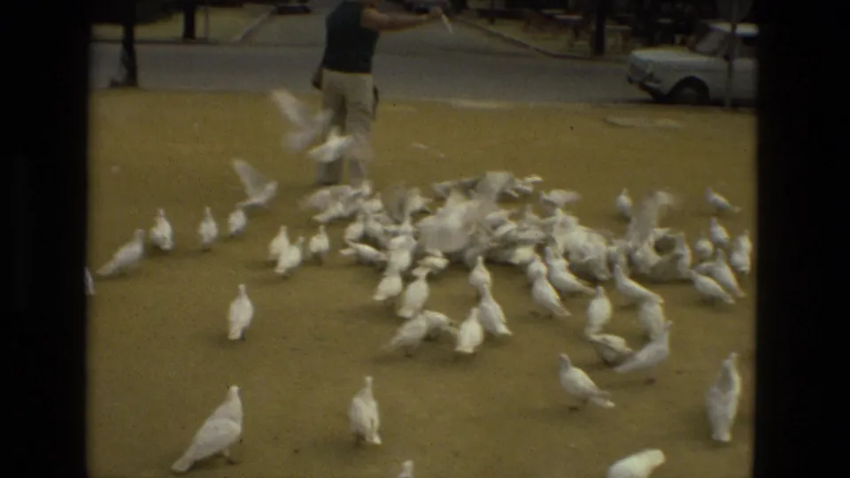 In Madrid, Spain, 1978, a woman gestures toward a flock of white pigeons as several birds rise from the ground.