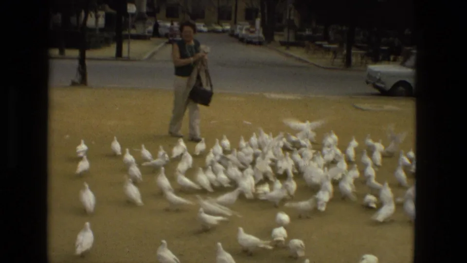 In Madrid, Spain, 1978, a woman with a shoulder bag faces the camera beside a large flock of white pigeons.
