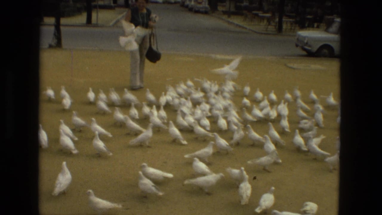 Woman standing near a large flock of white pigeons in a paved park area.